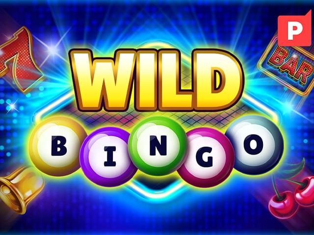 050 bet Bingo Selvagem